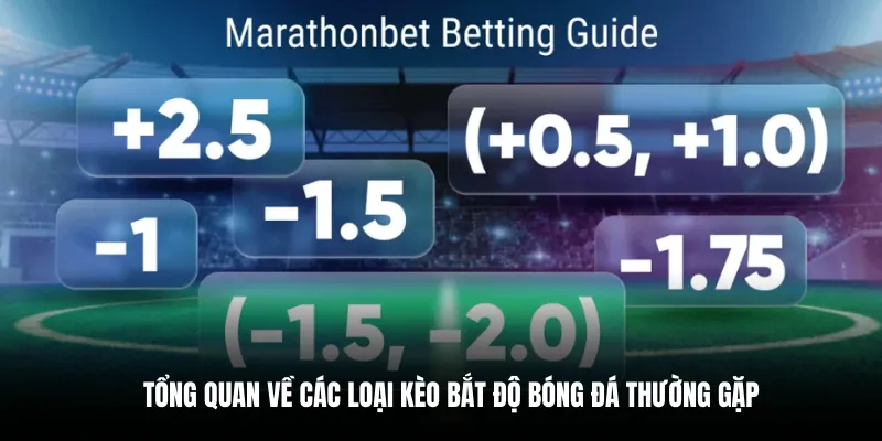 Tổng quan về các loại kèo bắt độ bóng đá thường gặp.